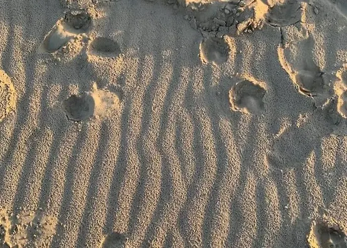 Alpesi faház Bulmar Sokhna